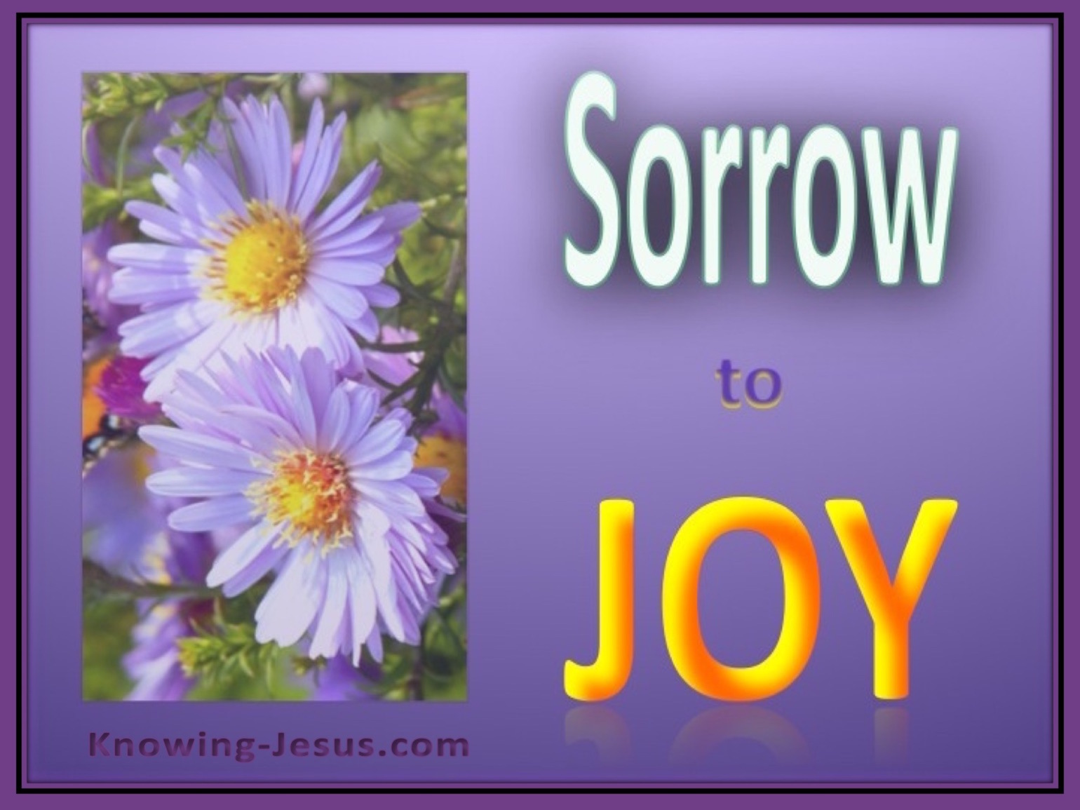 sorrow-to-joy